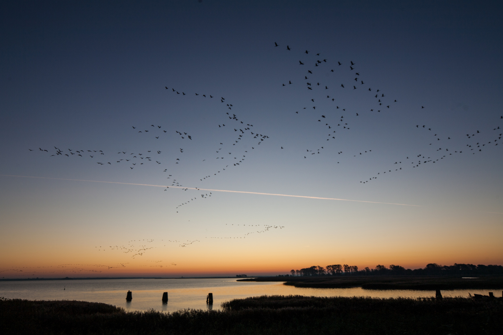 Morgens bei Zingst