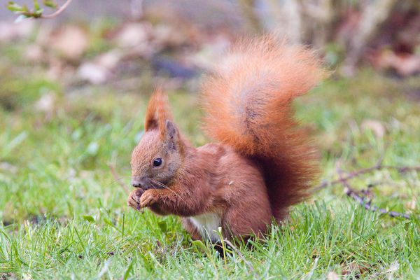 morgens beim Frühstück