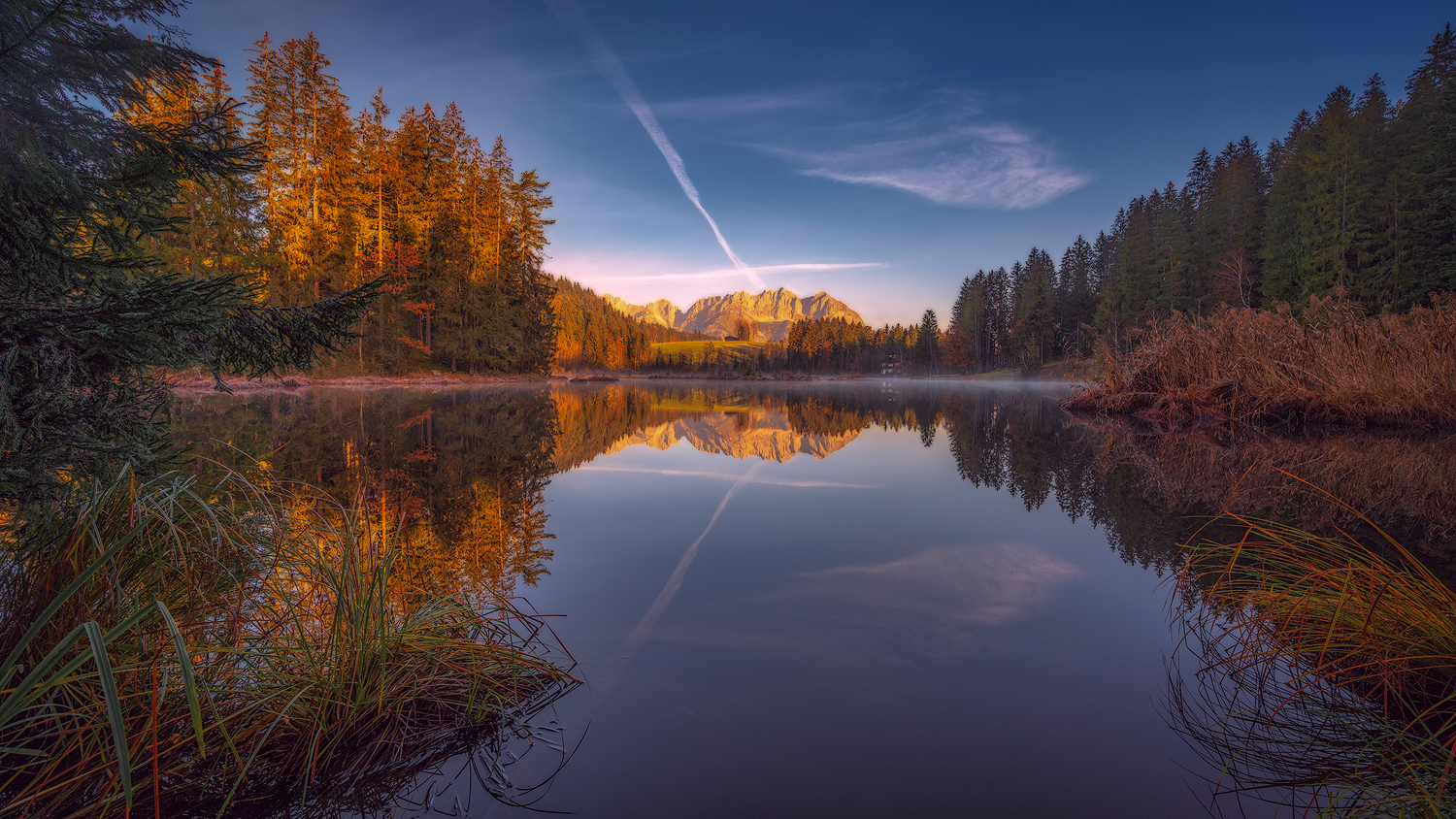 Morgens beim Gieringer Weiher