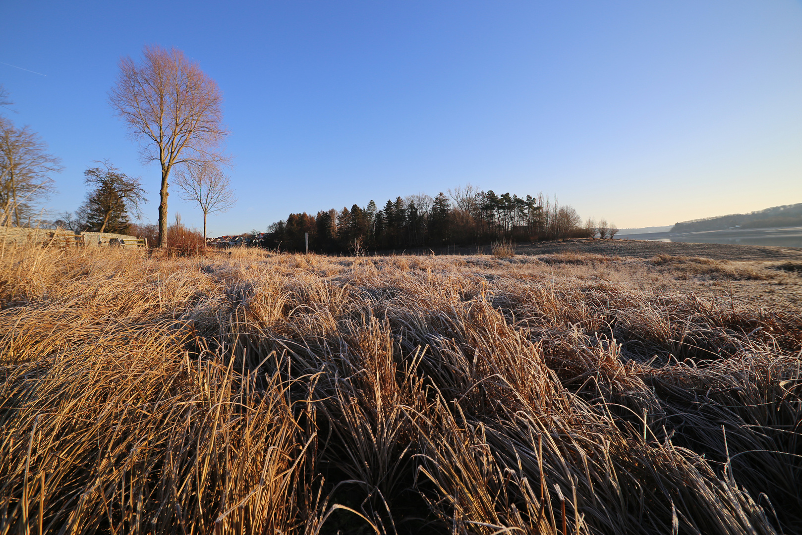 morgens beim Hundespaziergang am Möhnesee