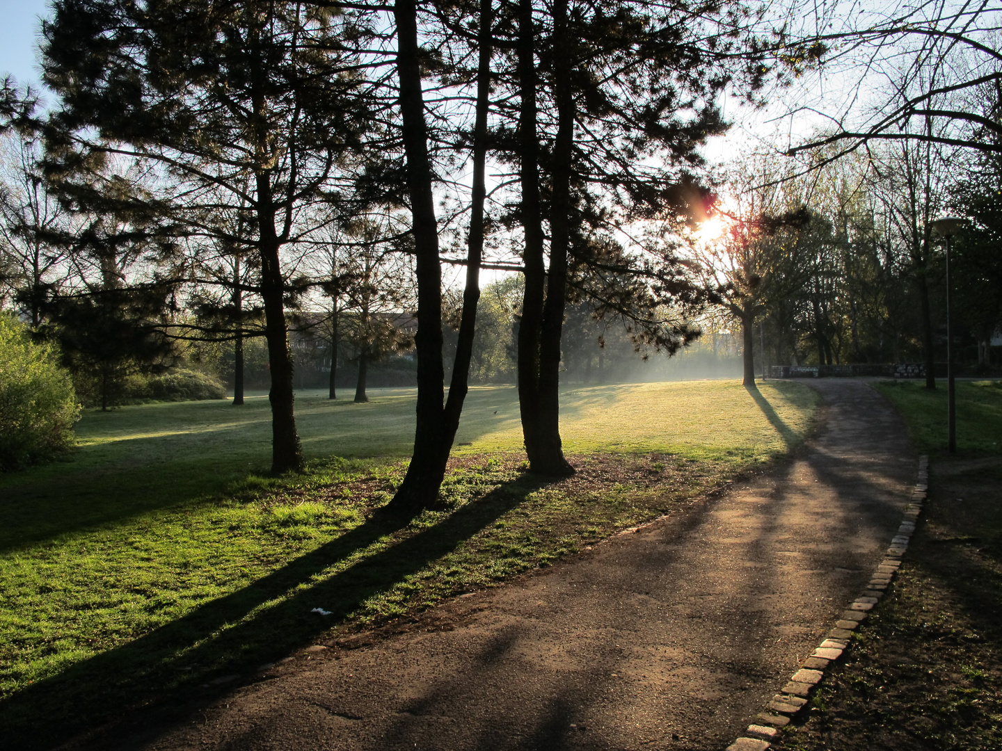 morgens beim nordic-walking im park