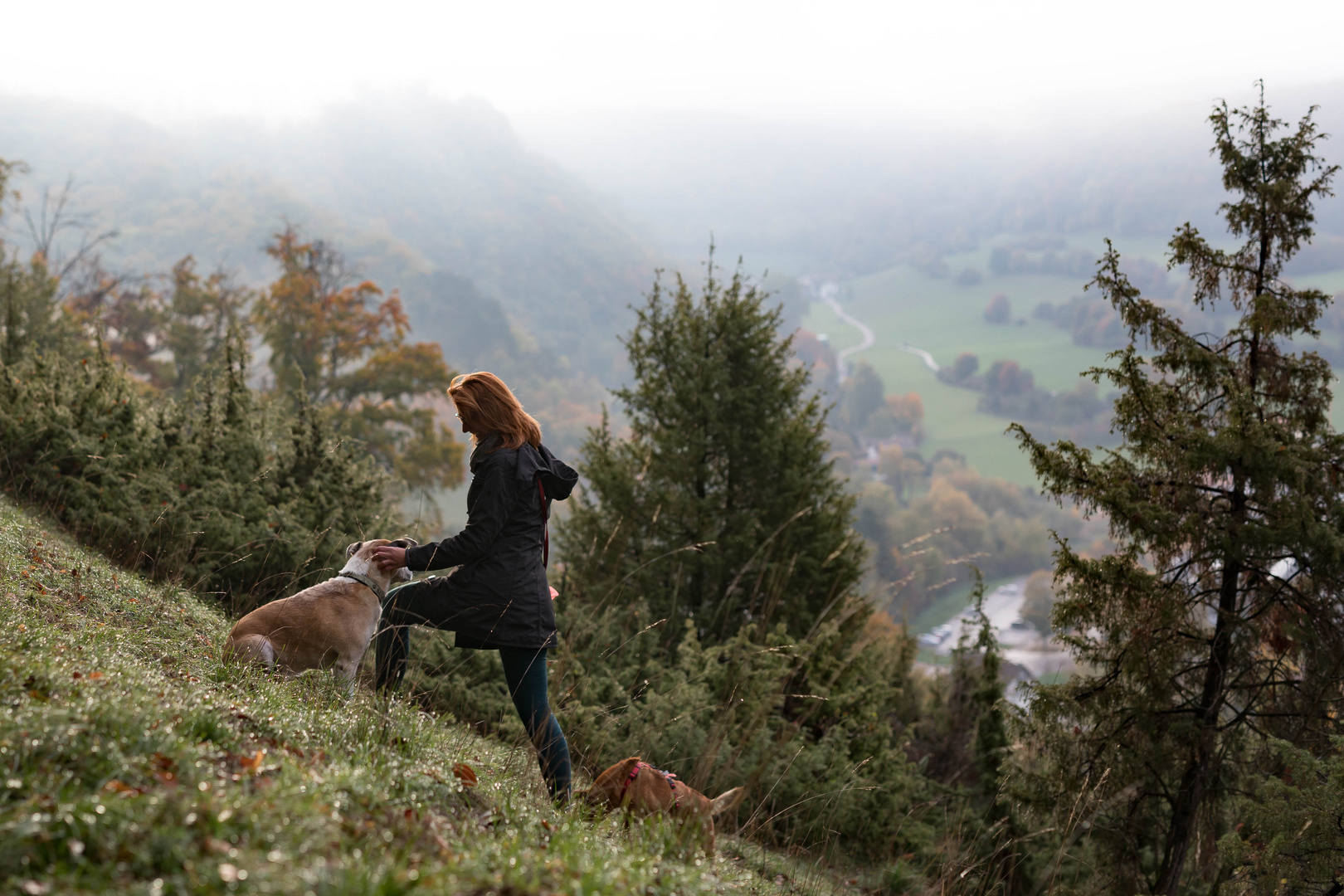 Morgens beim Spaziergang 