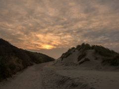 Morgens durch die Dünen