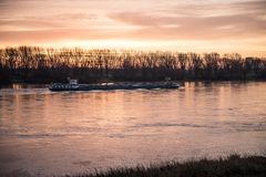 Morgens Fluss aufwärts auf dem Rhein