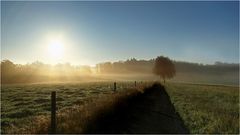 Morgens früh....