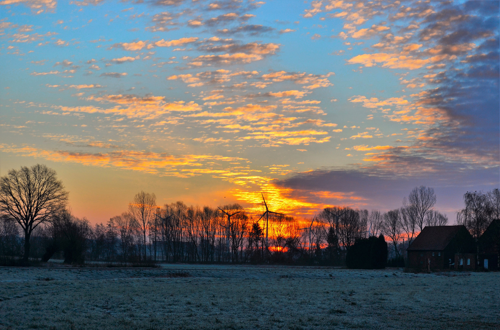 morgens früh