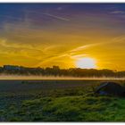 Morgens früh am Rhein bei Rodenkirchen