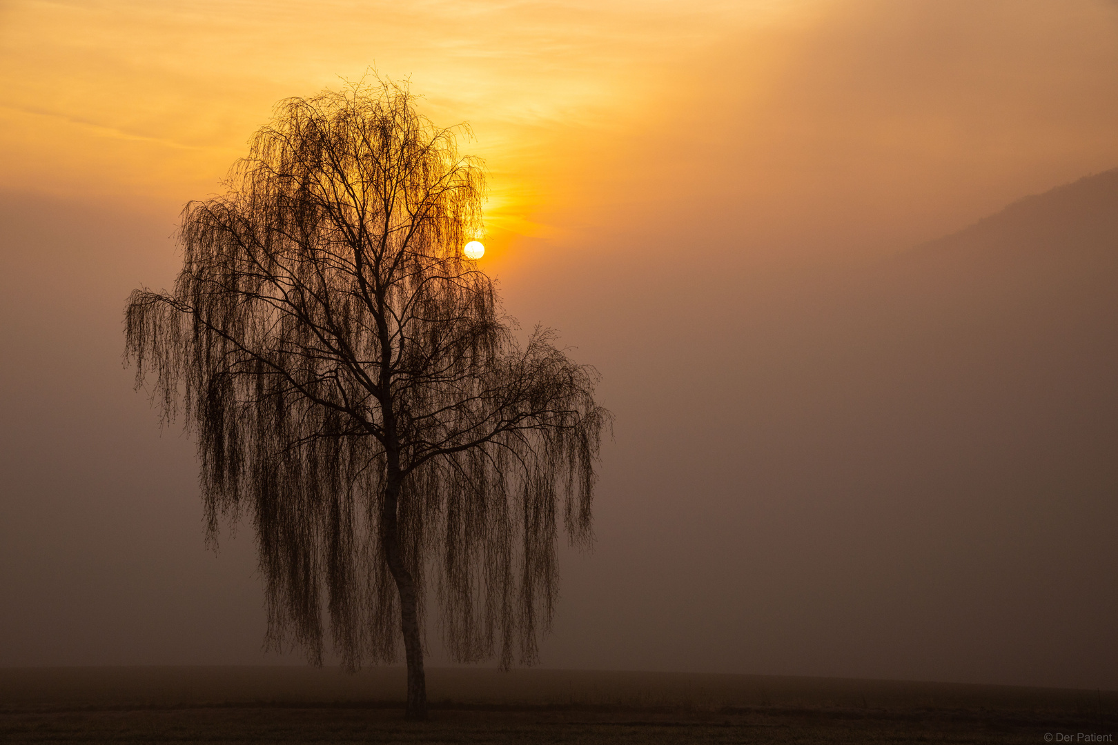 _morgens früh_