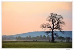 Morgen`s früh....