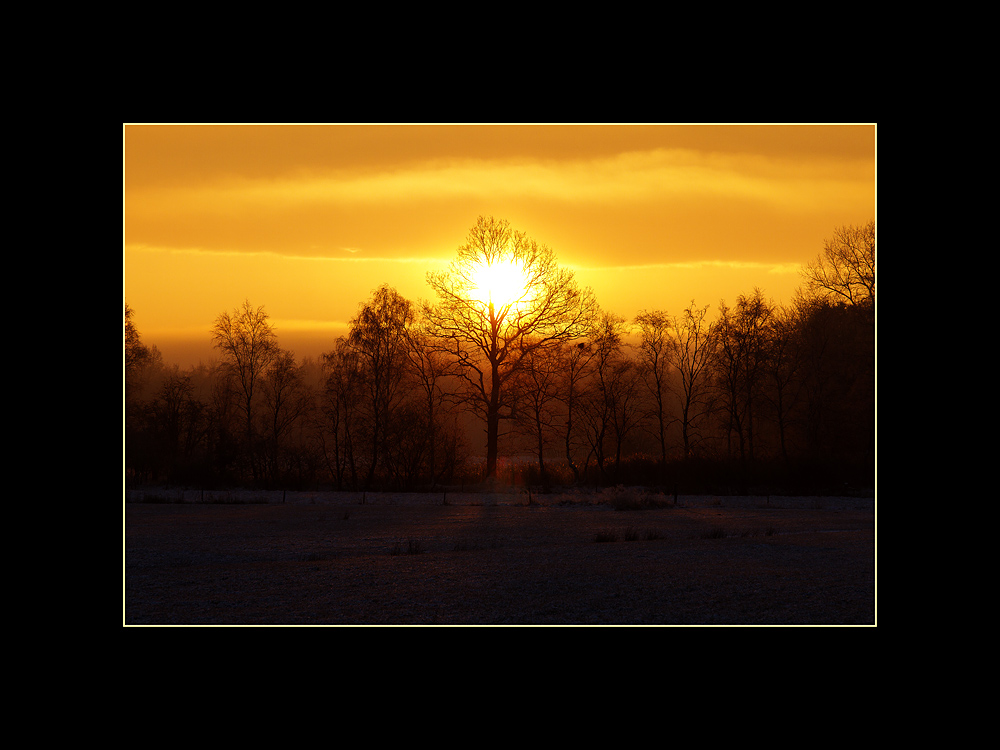 morgens früh