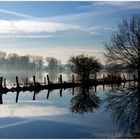 Morgens früh in der Leinemasch