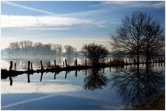 Morgens früh in der Leinemasch