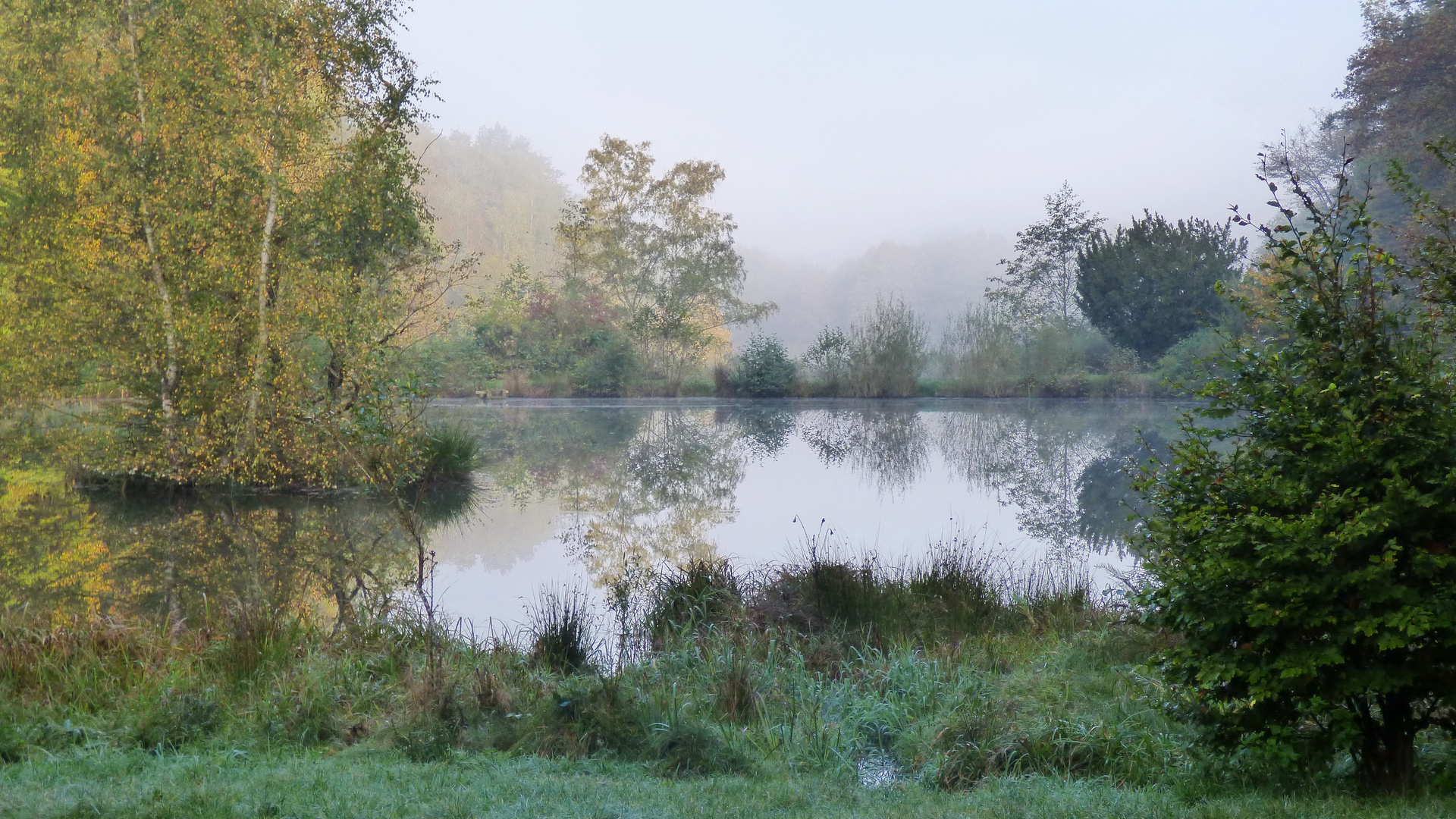 morgens früh in Hausen bei Bad Soden-Salmünster an den drei Teichen