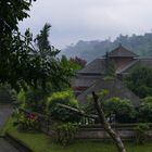 ...morgens früh mit leichtem Urwaldnebel...