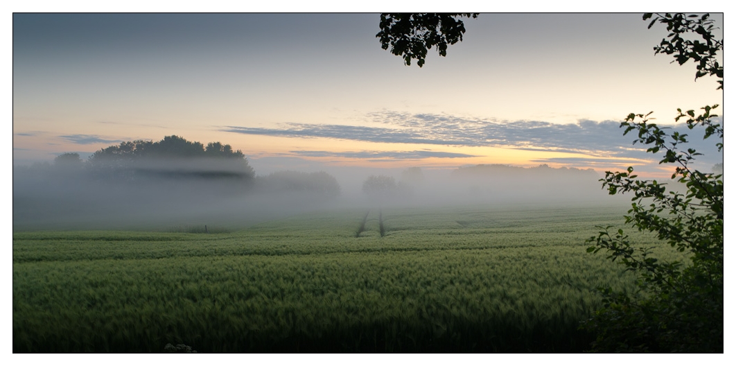 Morgens früh um 5