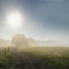 Morgens früh um 8.00 Uhr