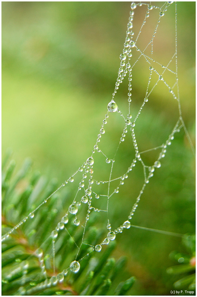 Morgens früh um neun (2) ......