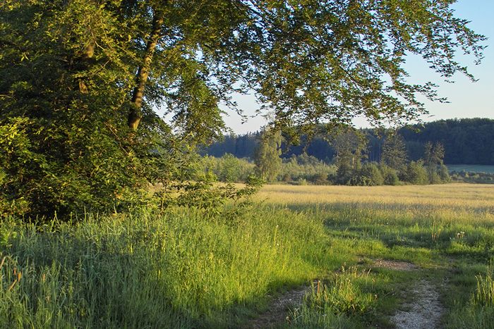 Morgens gegen 6.00 Uhr