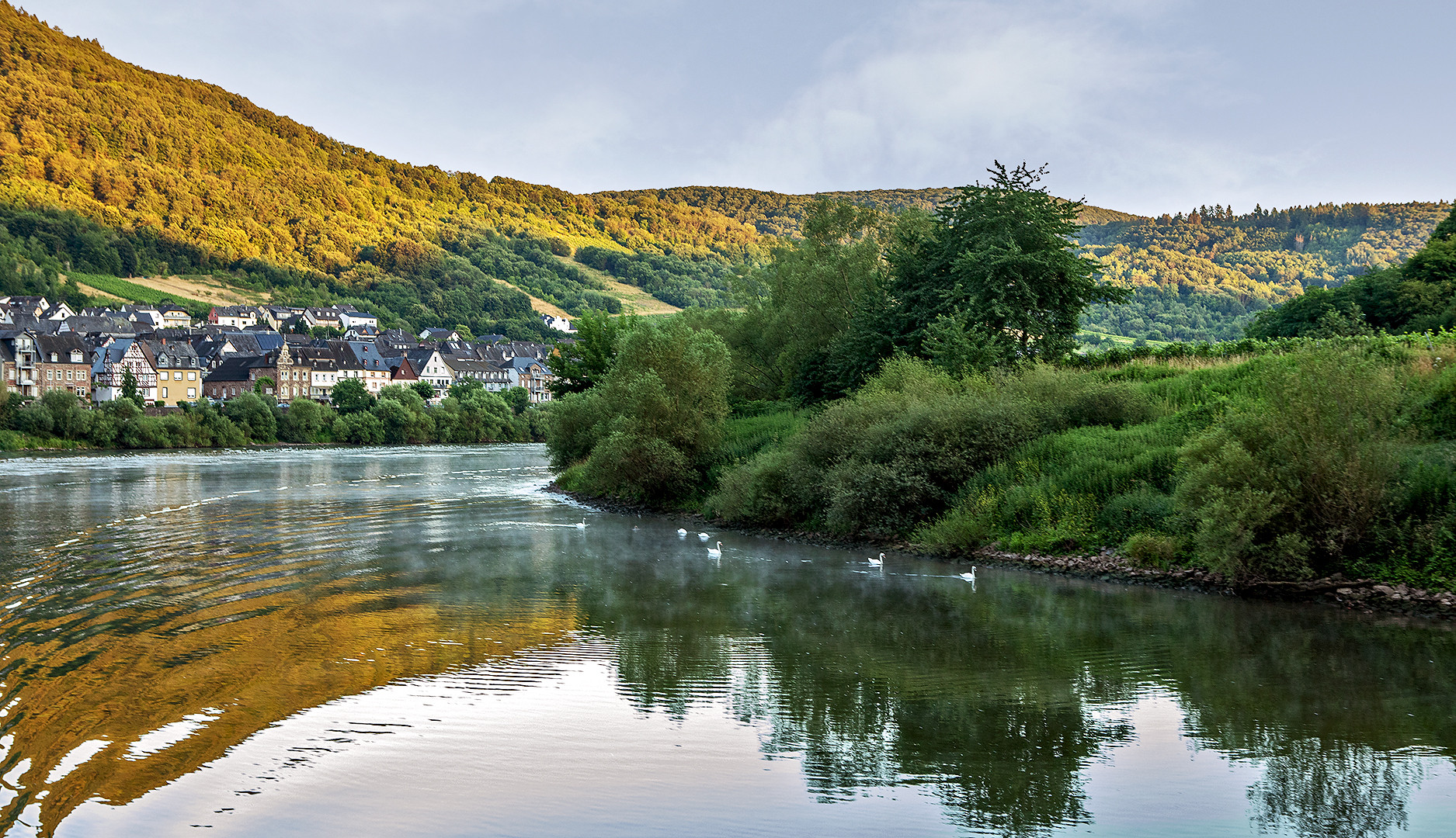 Morgens gegen sechs auf der Mosel