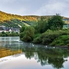 Morgens gegen sechs auf der Mosel