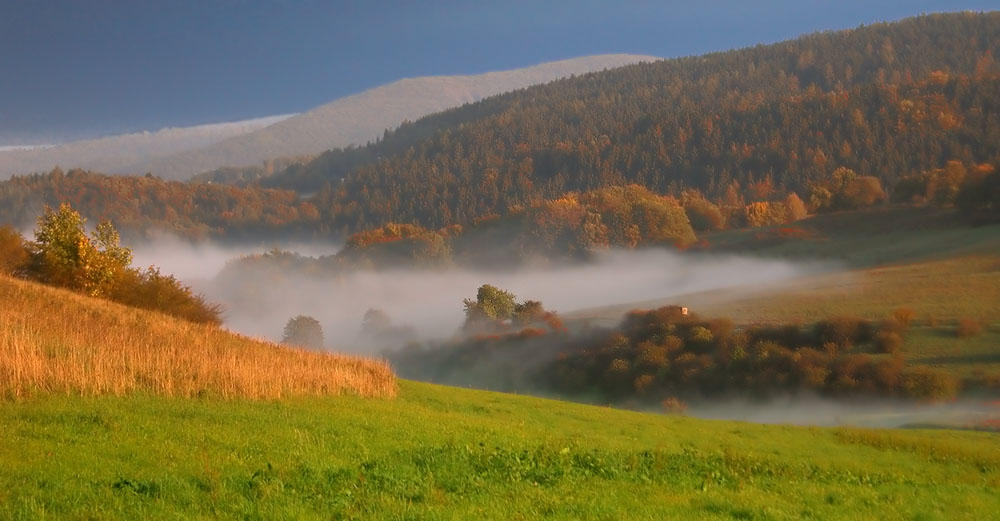 morgens halb 10 in Deutschland