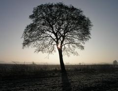 morgens, halb 10, in deutschland