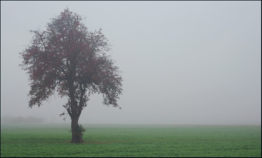 morgens, halb 10 in Deutschland