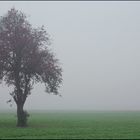 morgens, halb 10 in Deutschland