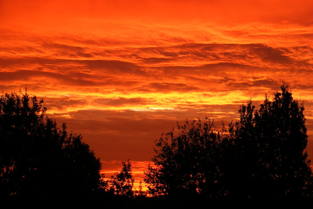 morgens halb 8 in Deutschland