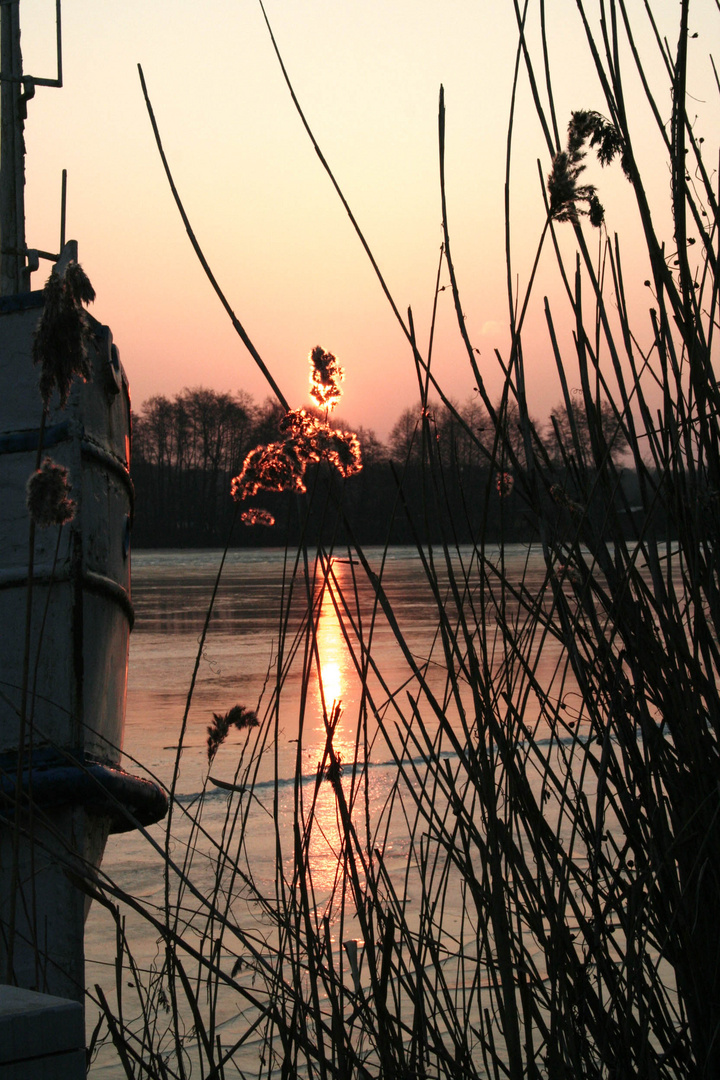 Morgens halb acht im Seehotel Zeuthen