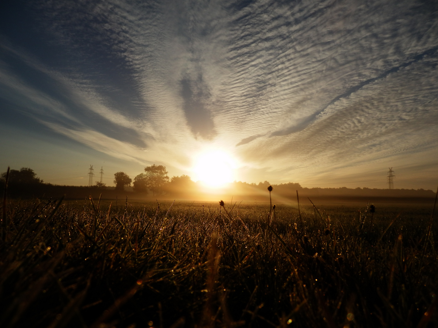 Morgens halb acht in Benthullen