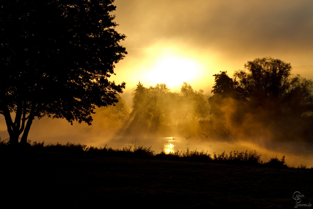 Morgens halb acht in Deutschland