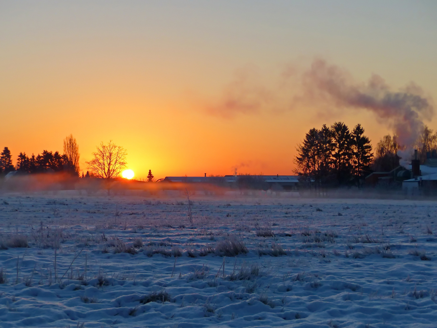 Morgens halb neun in Buchholz