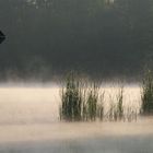 morgens halb sechs in brandenburg