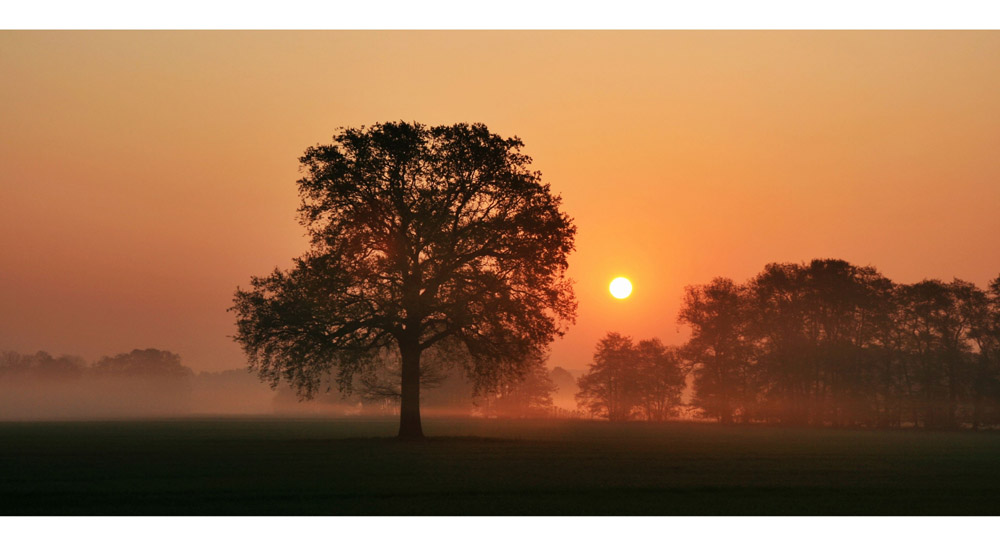 Morgens, halb sieben in Deutschland