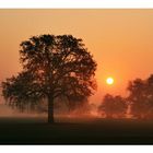 Morgens, halb sieben in Deutschland