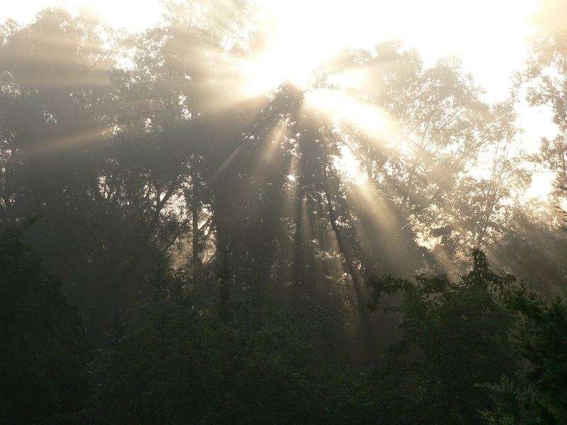 Morgens halb sieben in Deutschland :)