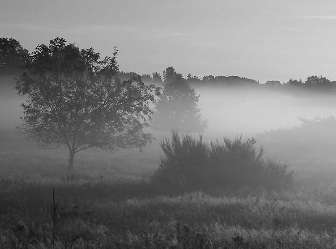 Morgens halb sieben in Deutschland