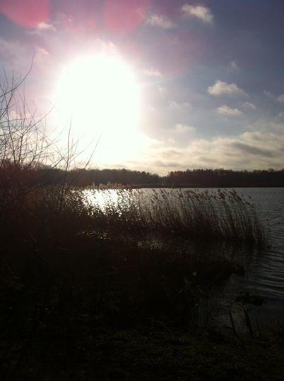 Morgens halb zehn am Teich