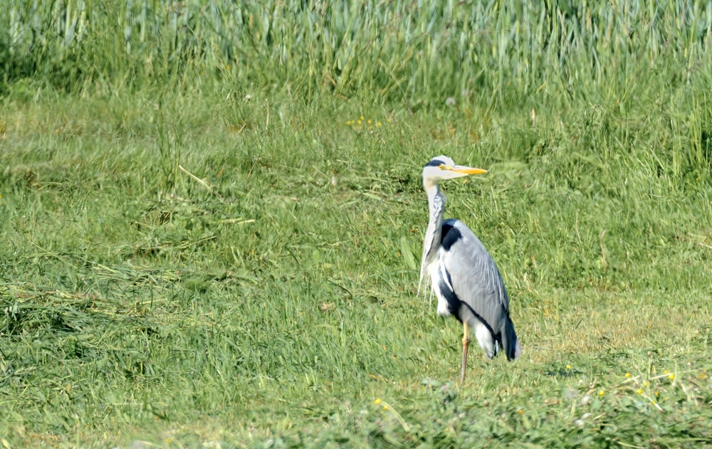 morgens halb zehn im Jagst-Tal