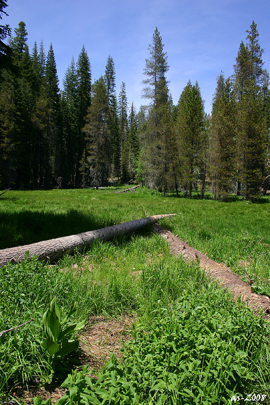 Morgens halb zehn im Yosemite NP...