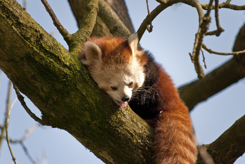 Morgens halb zehn im Zoo