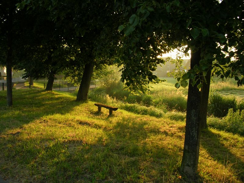 Morgens halbsechs in Deutschland