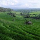 Morgens halbzehn auf Bali