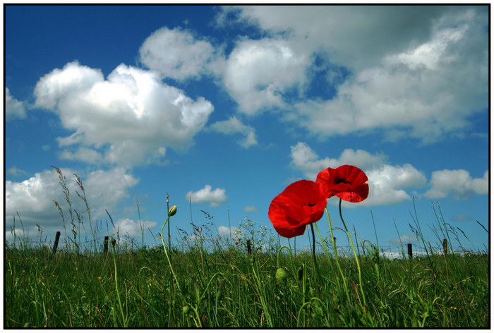 Morgens hinterm Deich: "Die 2 im Wind"