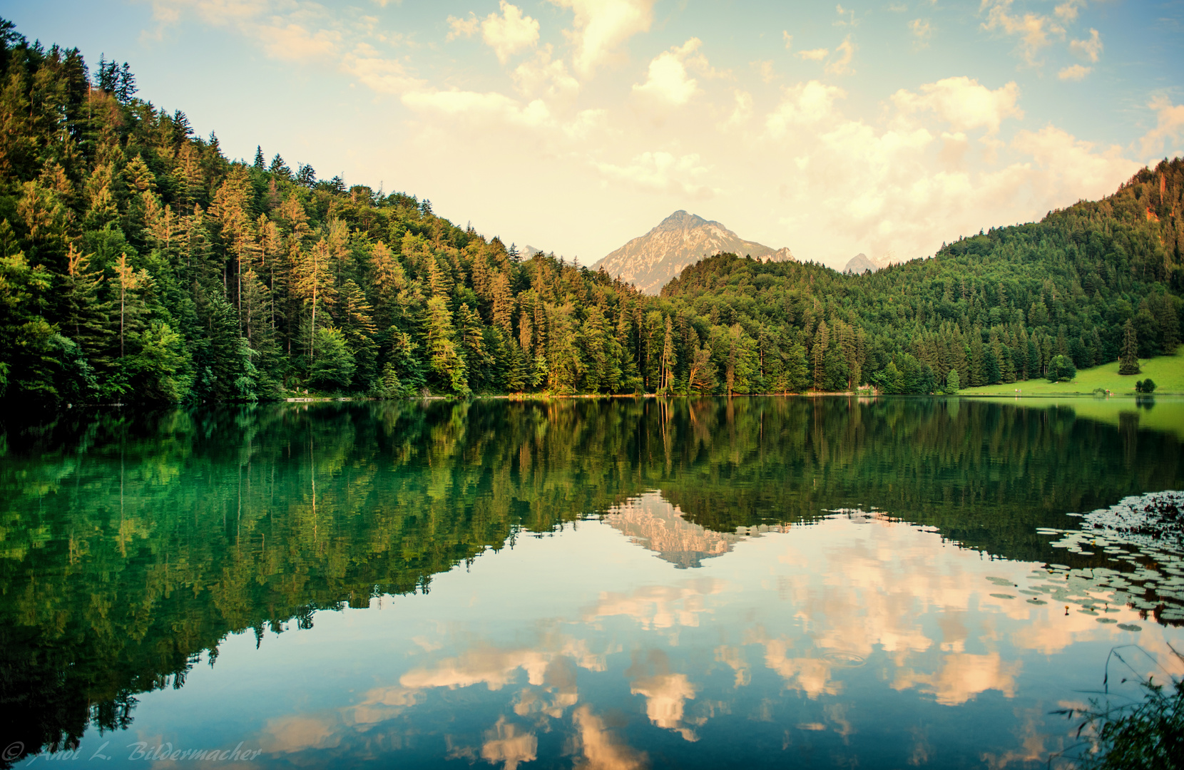 ....morgens im Allgäu....