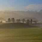 morgens im Allgäu...