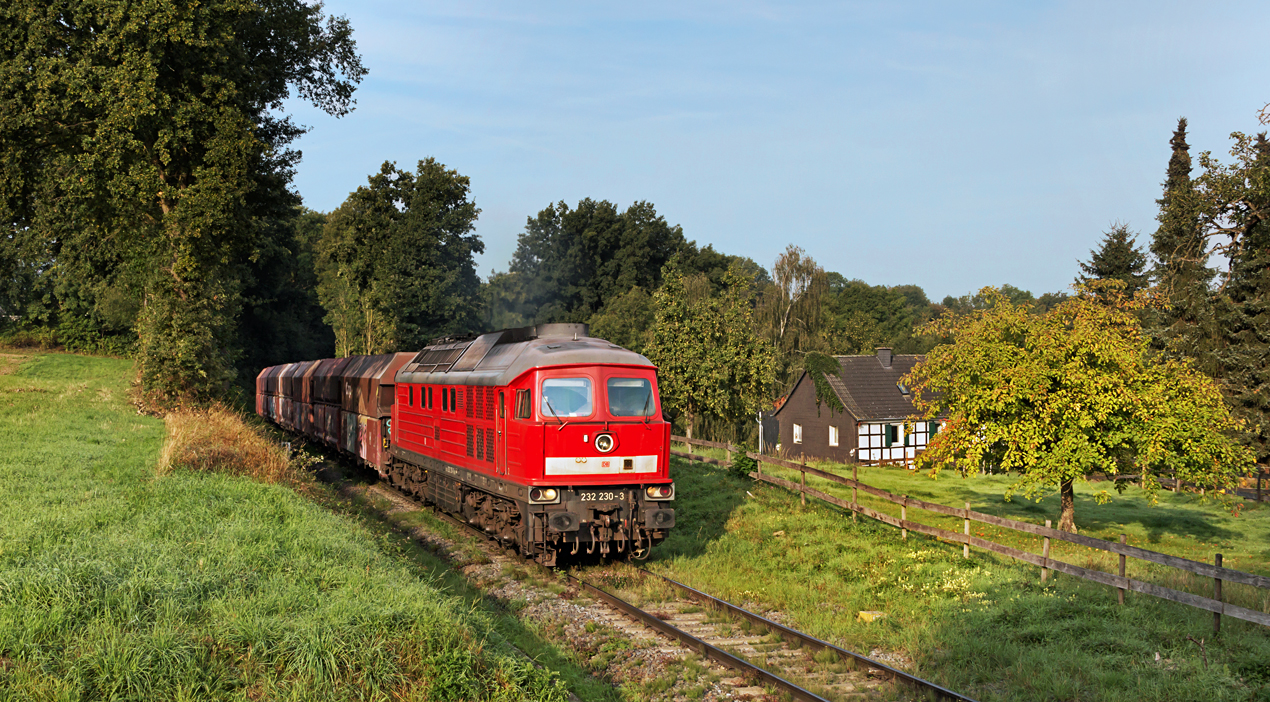 Morgens im Angertal