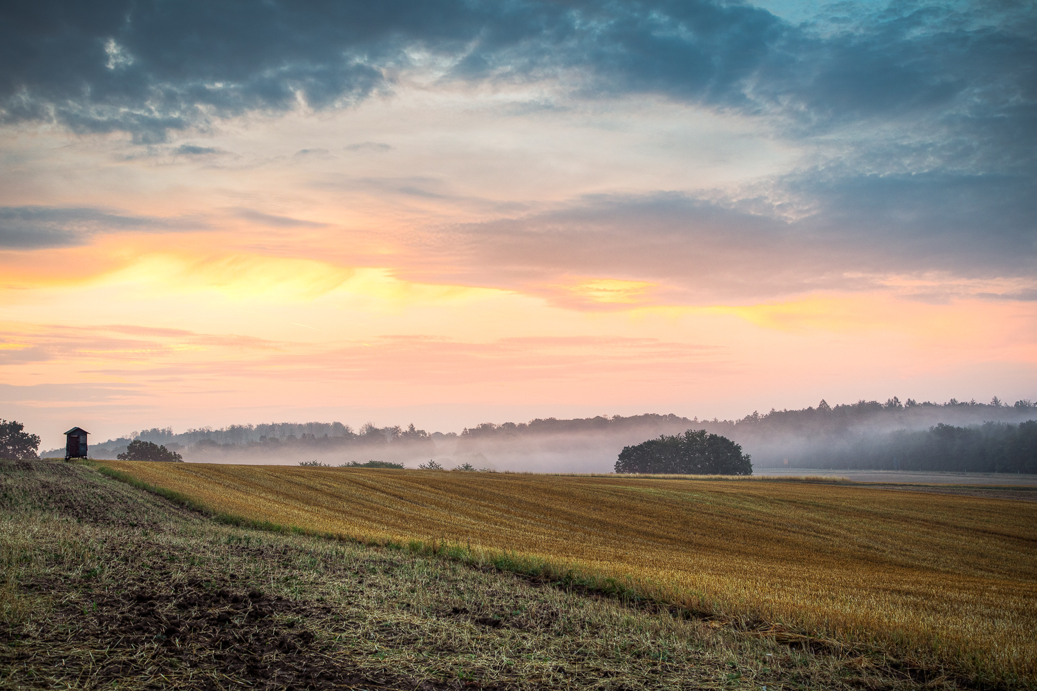 Morgens im August 