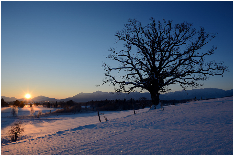 Morgens im blauen Land